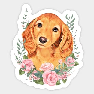 Long Haired Dachshund With Floral Sticker